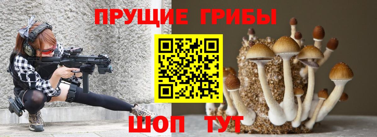 Галлюциногенные грибы ЛСД Пугачёв